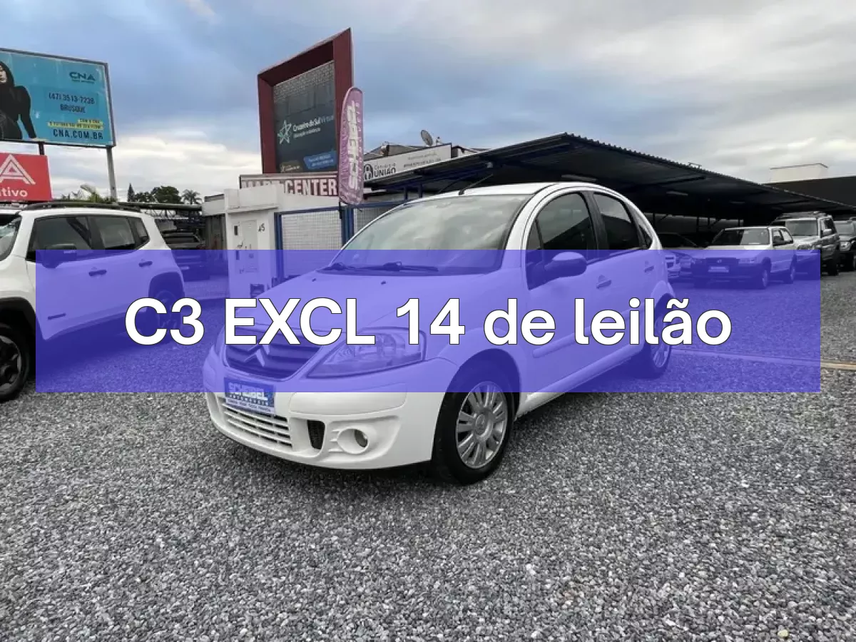 C3 EXCL 14 em leilão