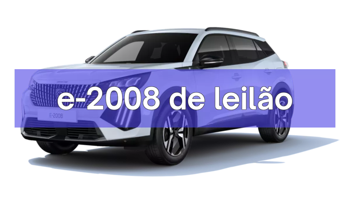 e-2008 em leilão