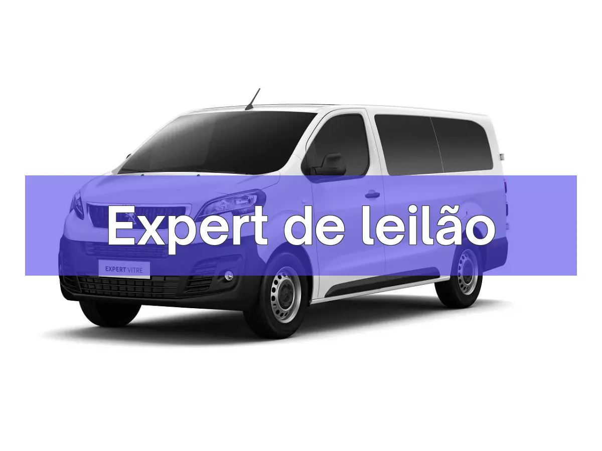 Expert em leilão