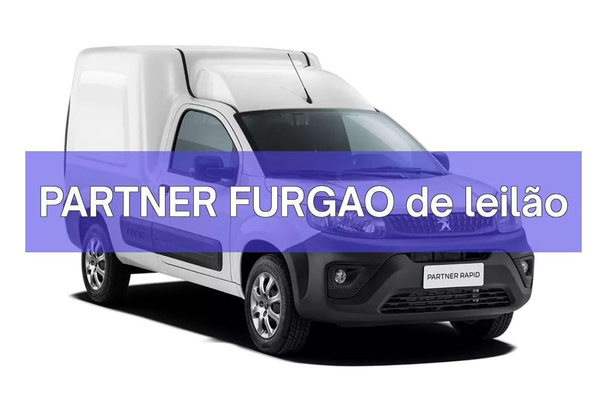 PARTNER FURGAO em leilão