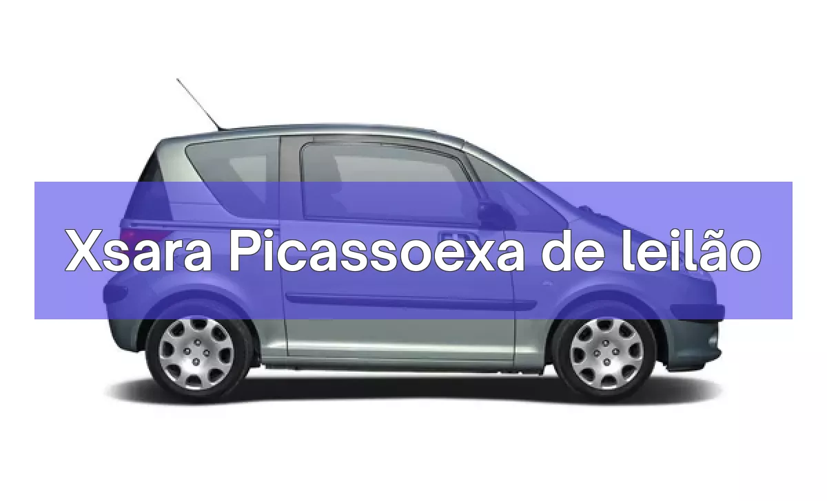 Xsara Picassoexa em leilão