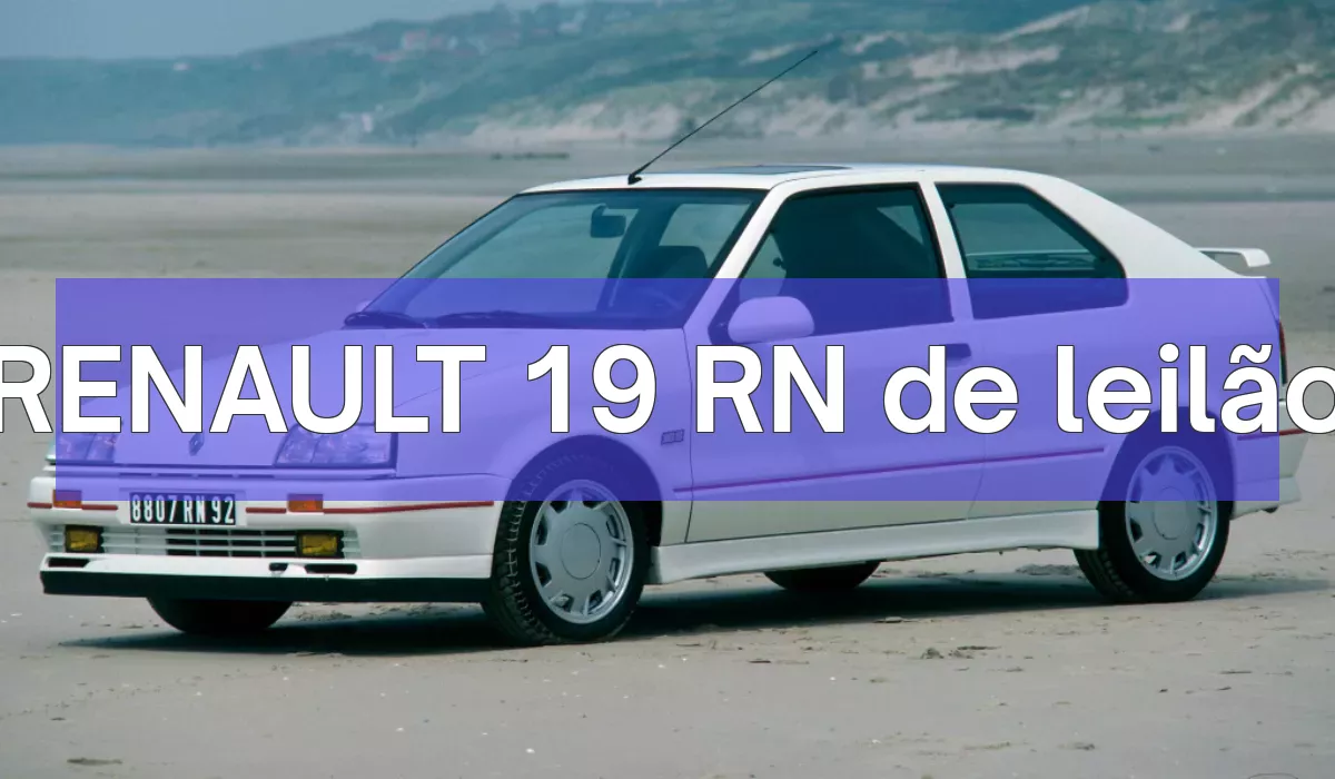 RENAULT 19 RN em leilão