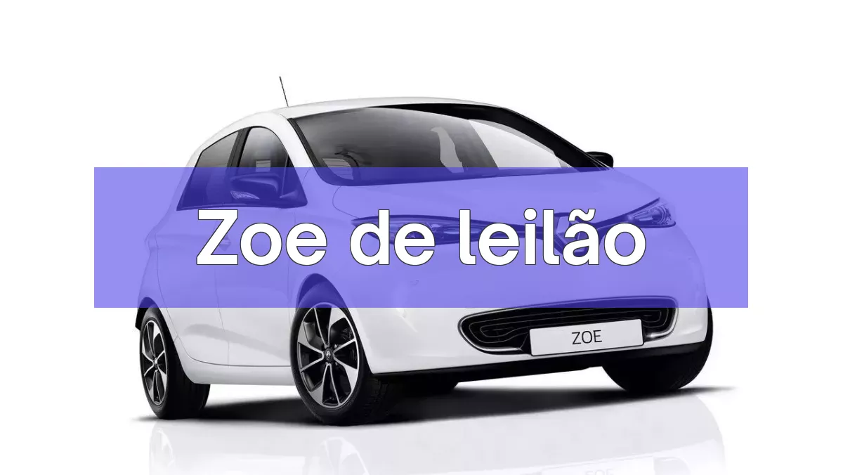 Zoe em leilão