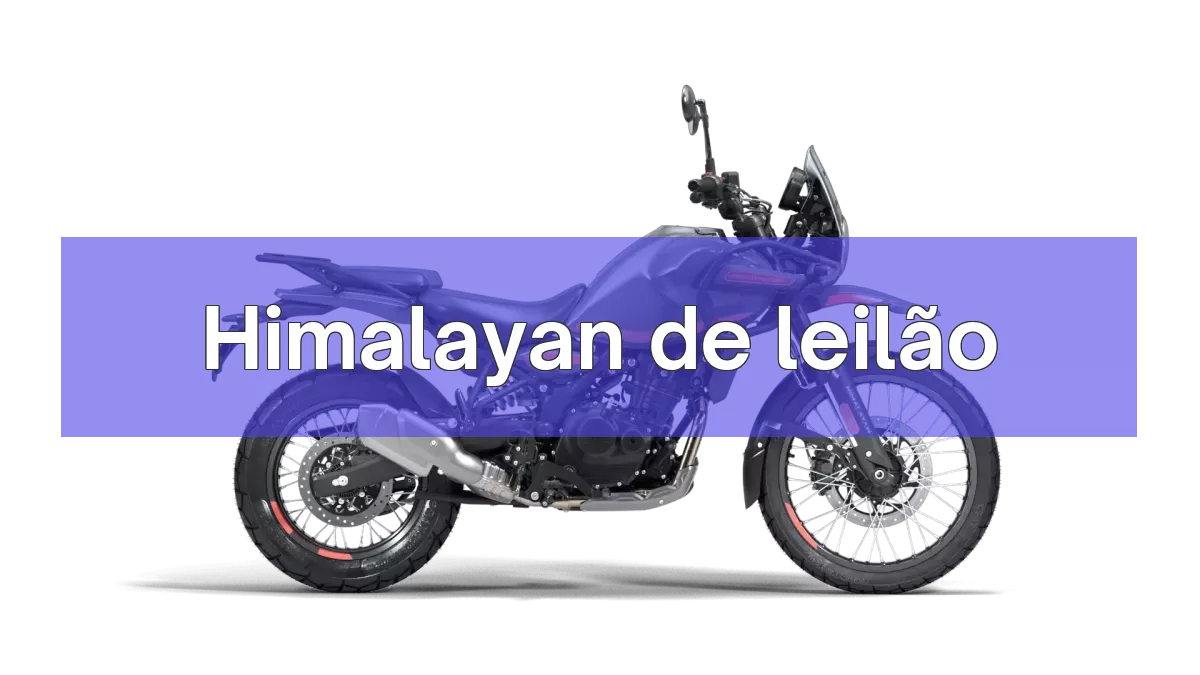 Himalayan em leilão