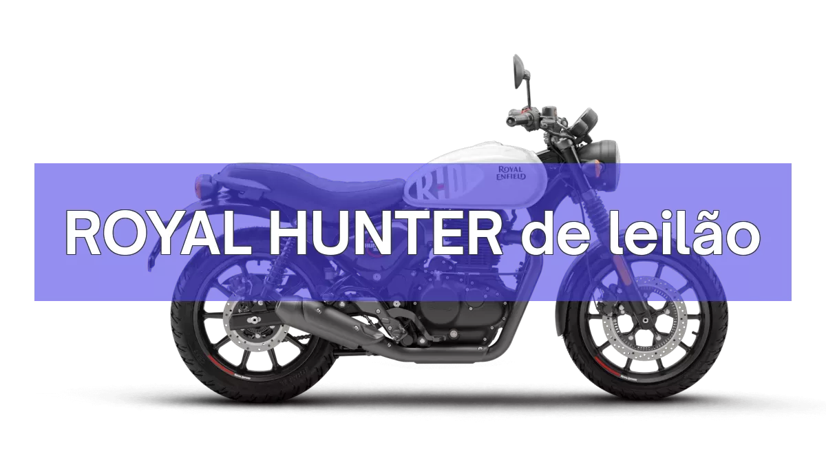 ROYAL HUNTER em leilão