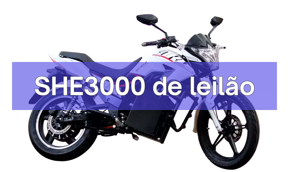 SHE3000 em leilão