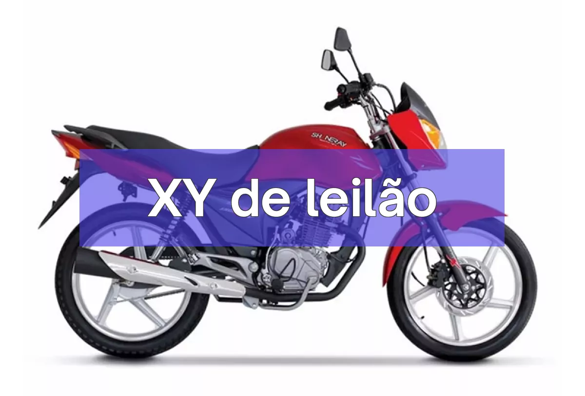XY em leilão