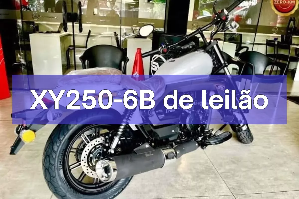 XY250-6B em leilão