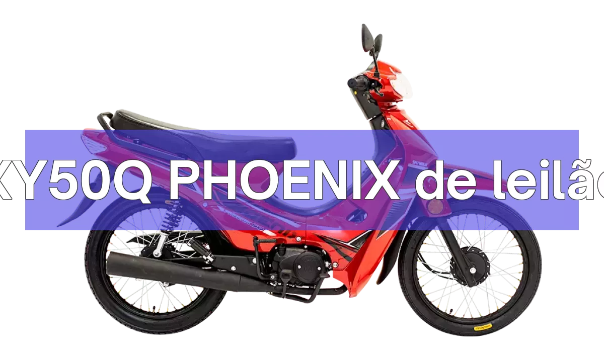 XY50Q PHOENIX em leilão