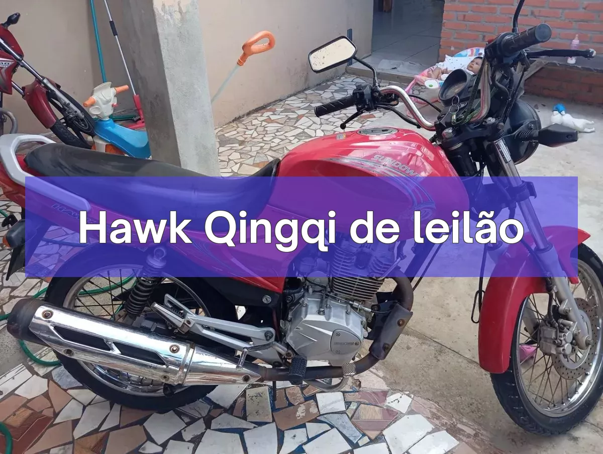 Hawk Qingqi em leilão