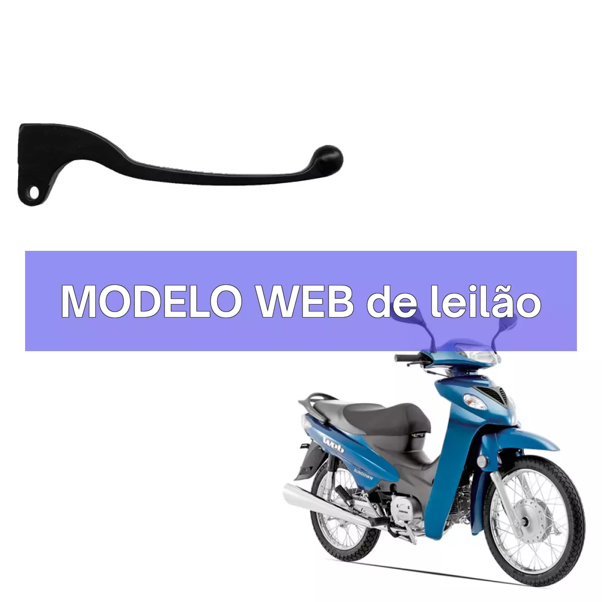 MODELO WEB em leilão