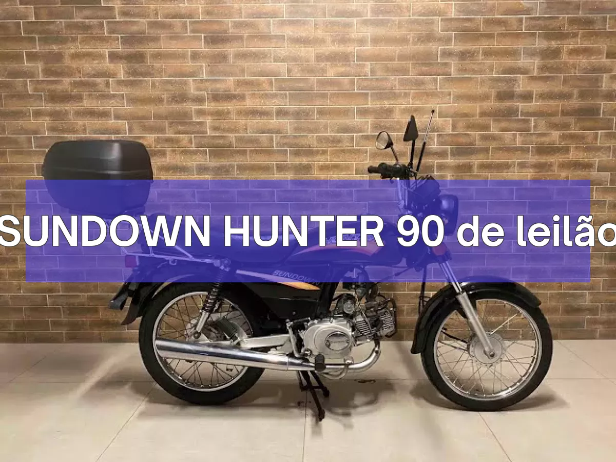 SUNDOWN HUNTER 90 em leilão