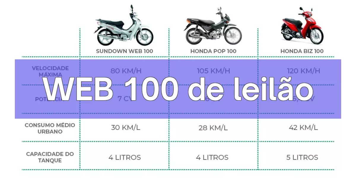 WEB 100 em leilão