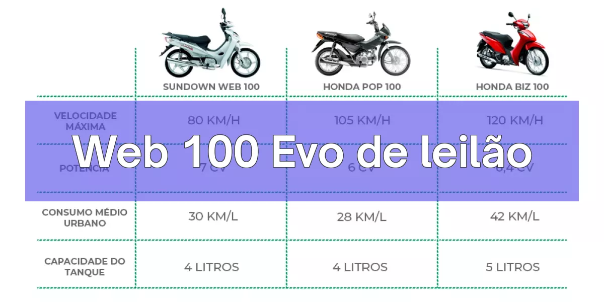 Web 100 Evo em leilão