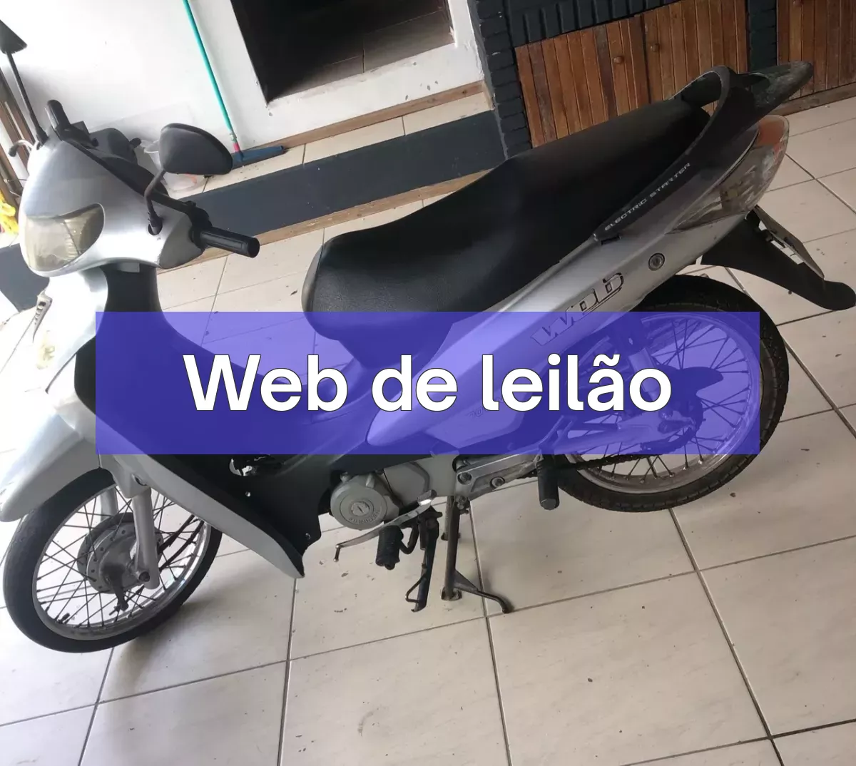Web em leilão