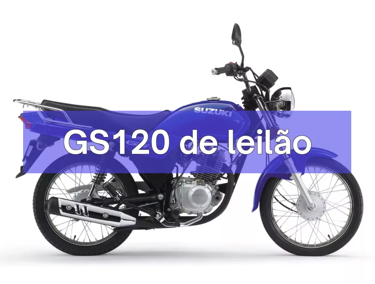 GS120 em leilão