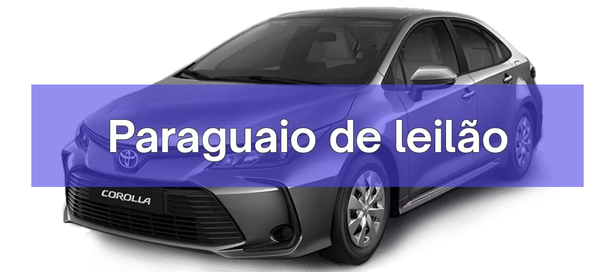 Paraguaio em leilão