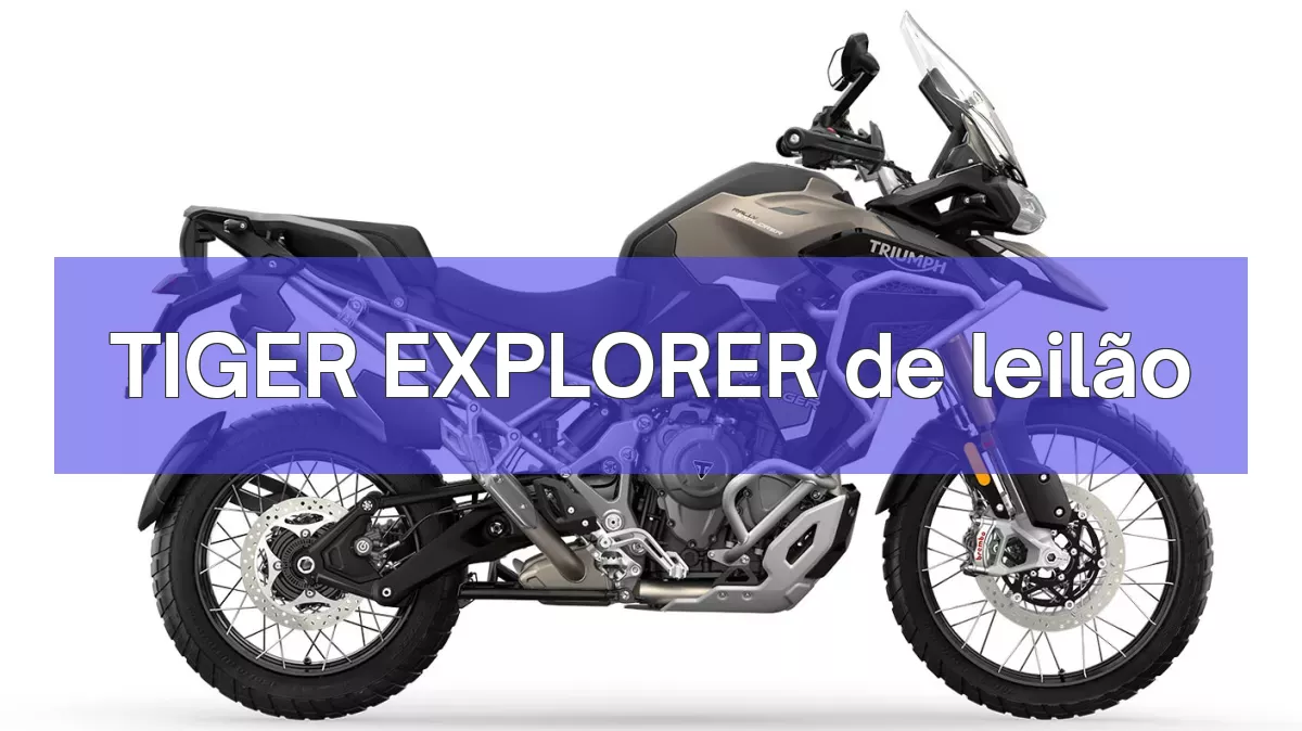 TIGER EXPLORER em leilão