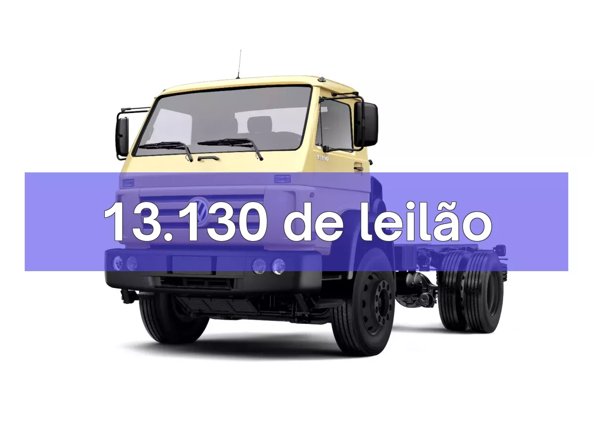 13.130 em leilão