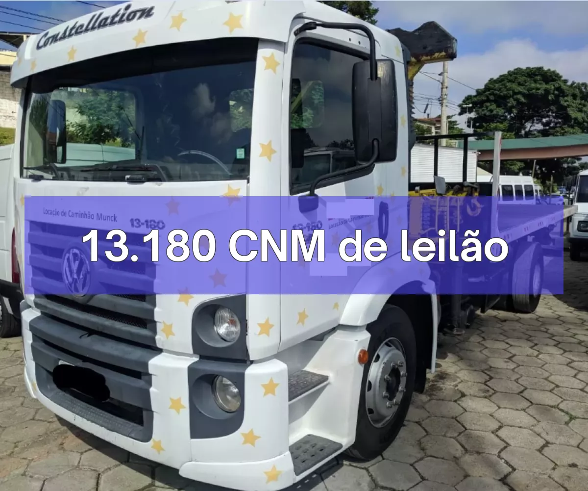 13.180 CNM em leilão
