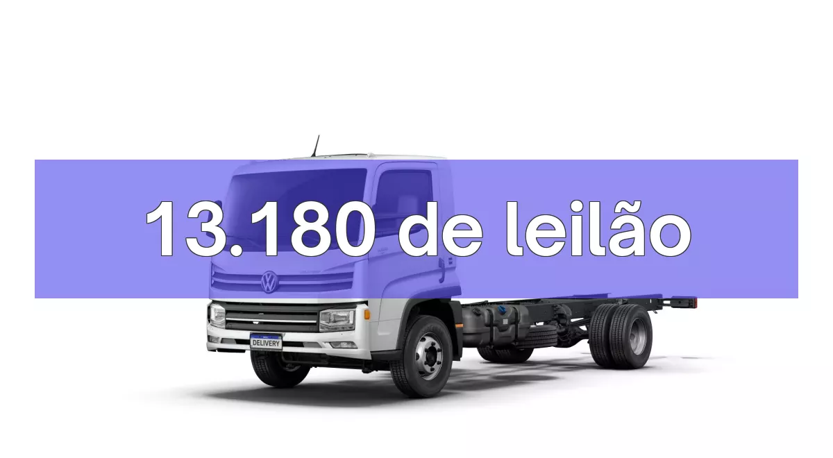 13.180 em leilão