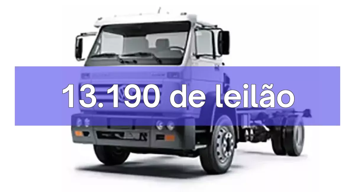 13.190 em leilão