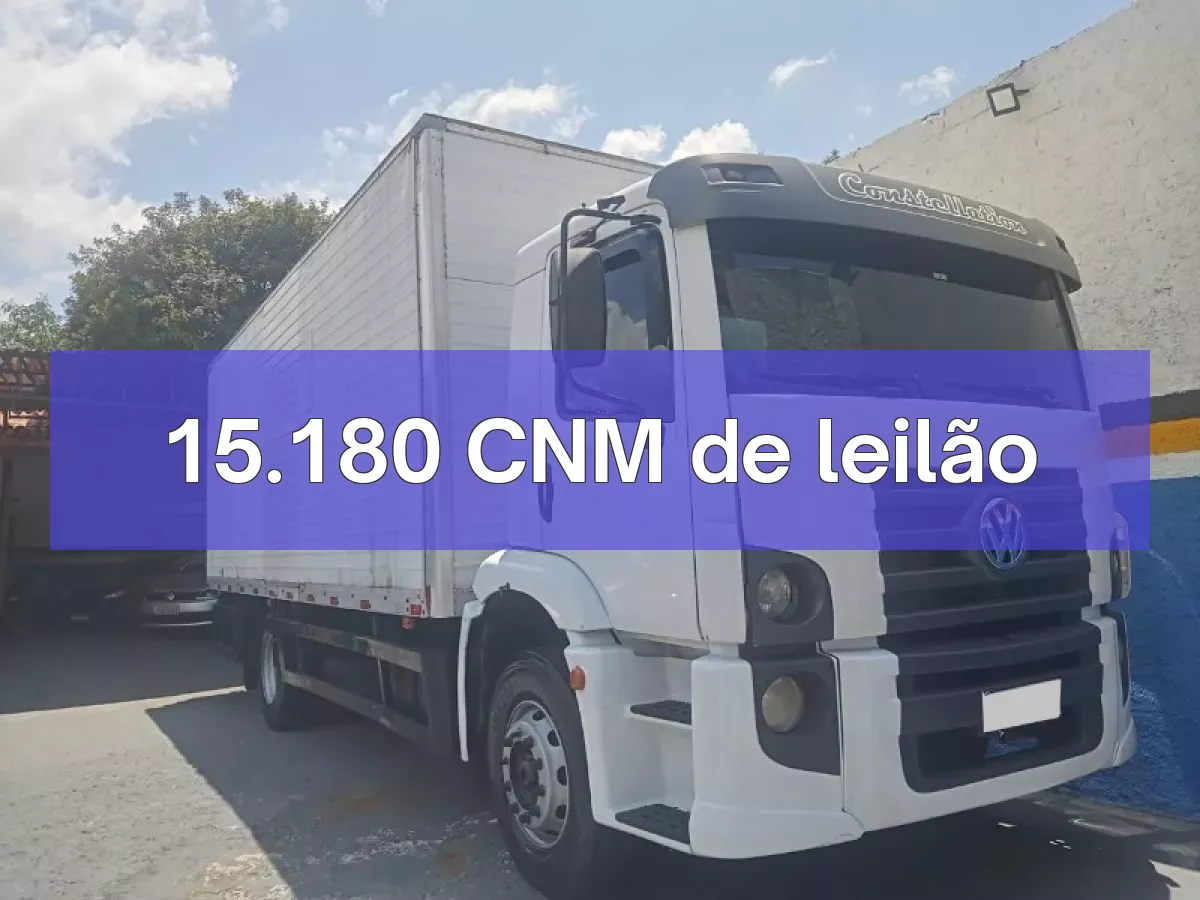 15.180 CNM em leilão