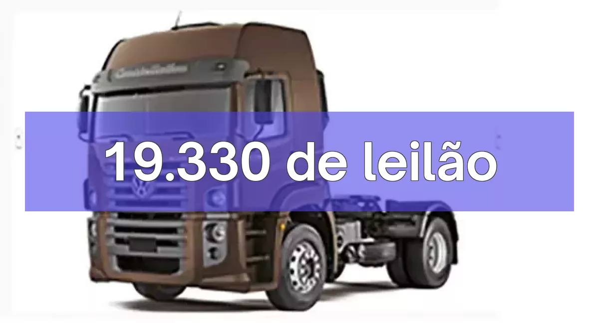 19.330 em leilão