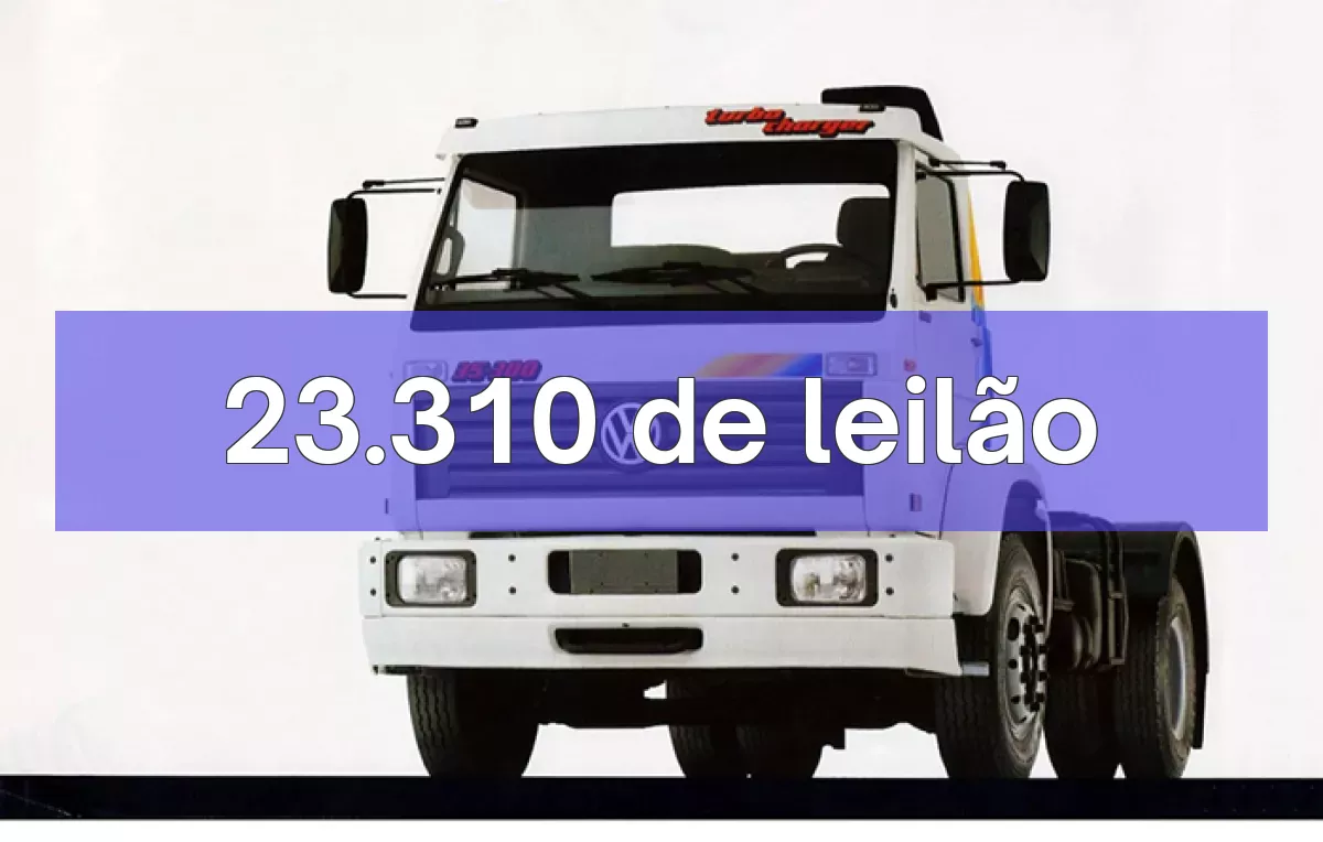 23.310 em leilão