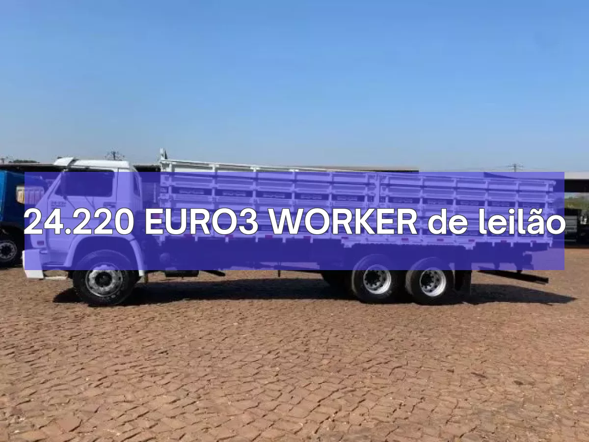 24.220 EURO3 WORKER em leilão