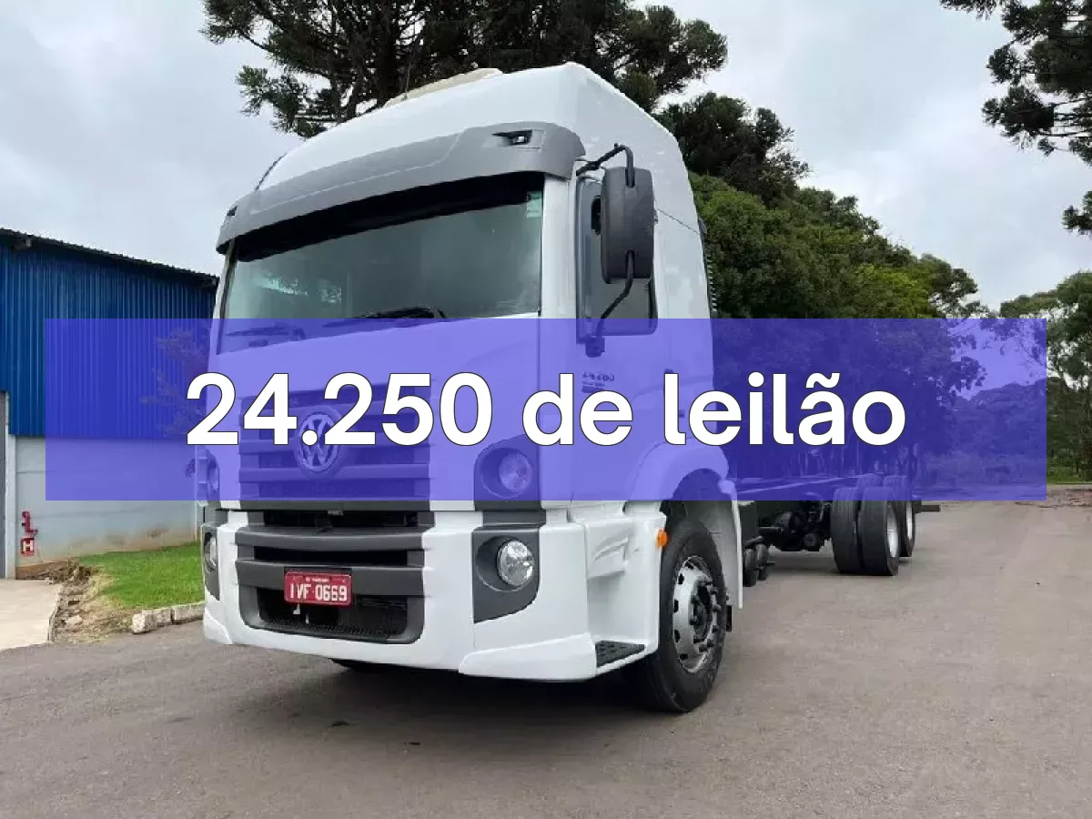 24.250 em leilão