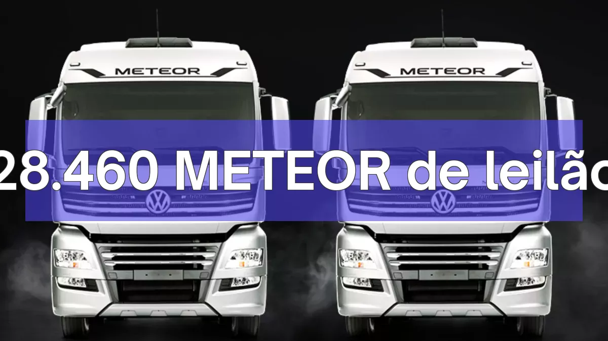 28.460 METEOR em leilão