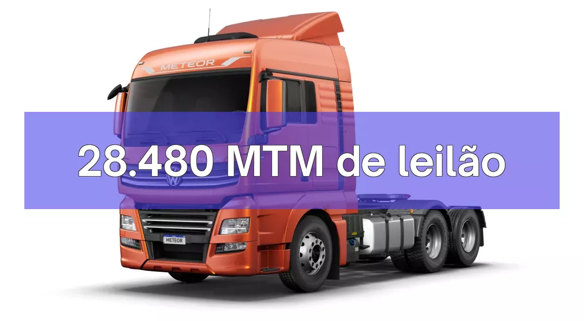 28.480 MTM em leilão