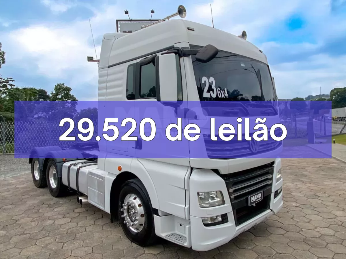 29.520 em leilão