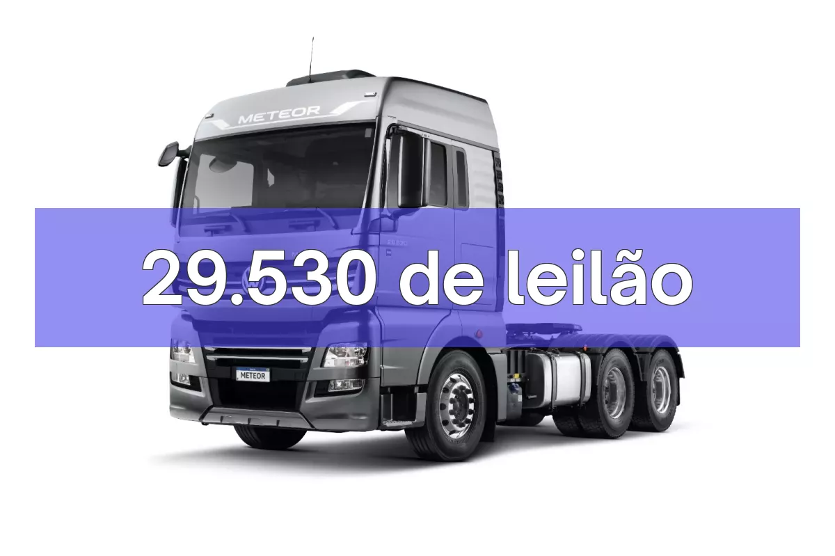 29.530 em leilão