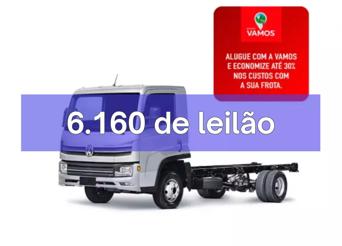 6.160 em leilão