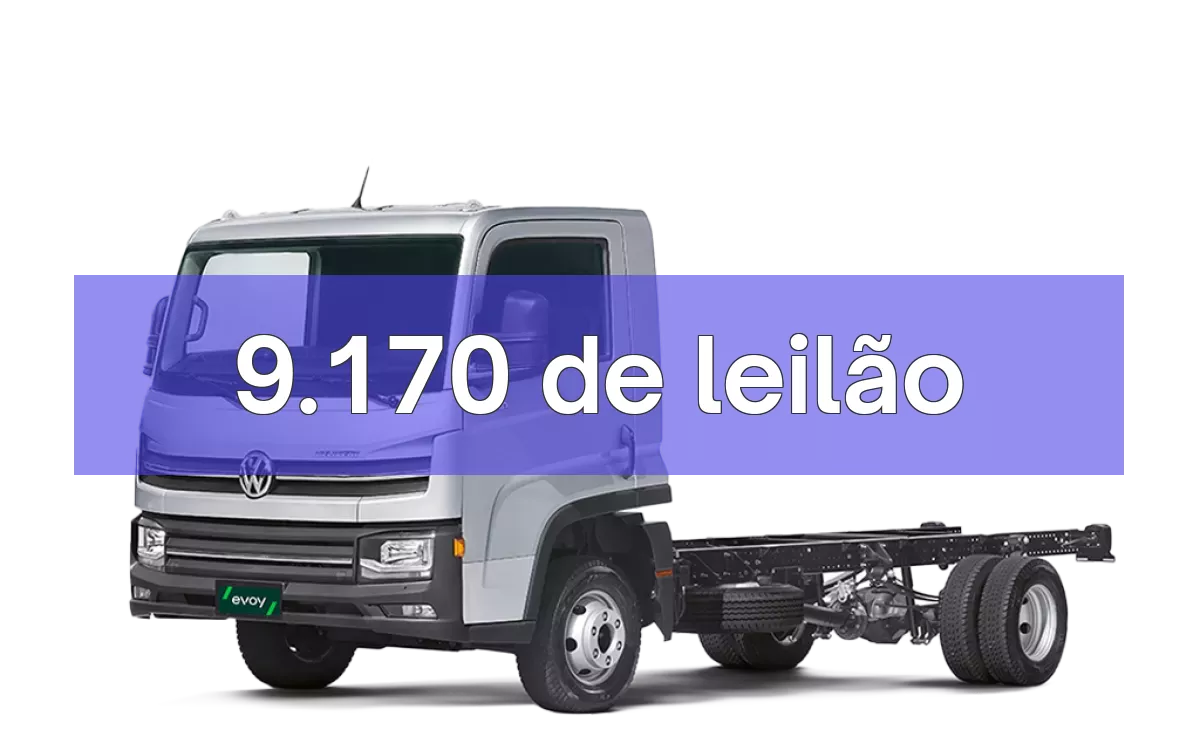 9.170 em leilão