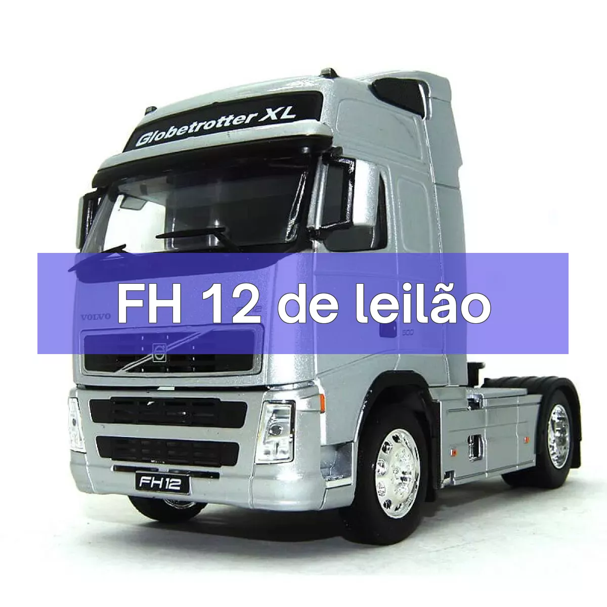 FH 12 em leilão