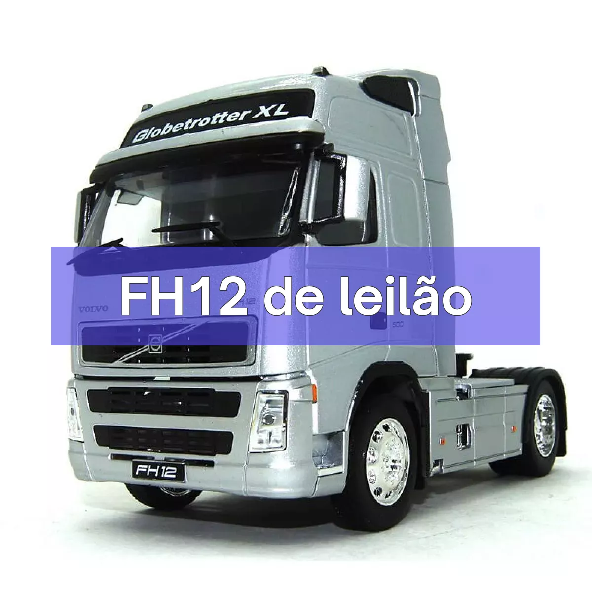 FH12 em leilão