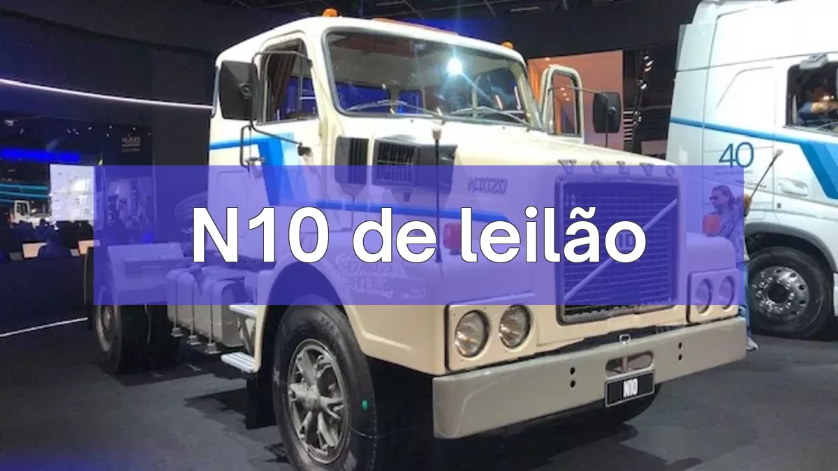 N10 em leilão