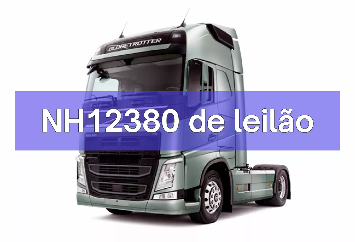 NH12380 em leilão