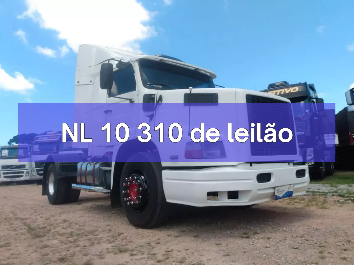 NL 10 310 em leilão