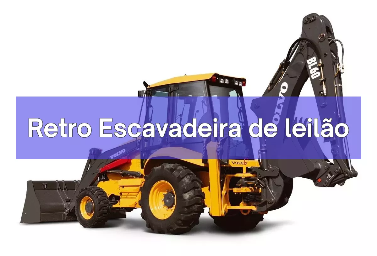 Retro Escavadeira em leilão