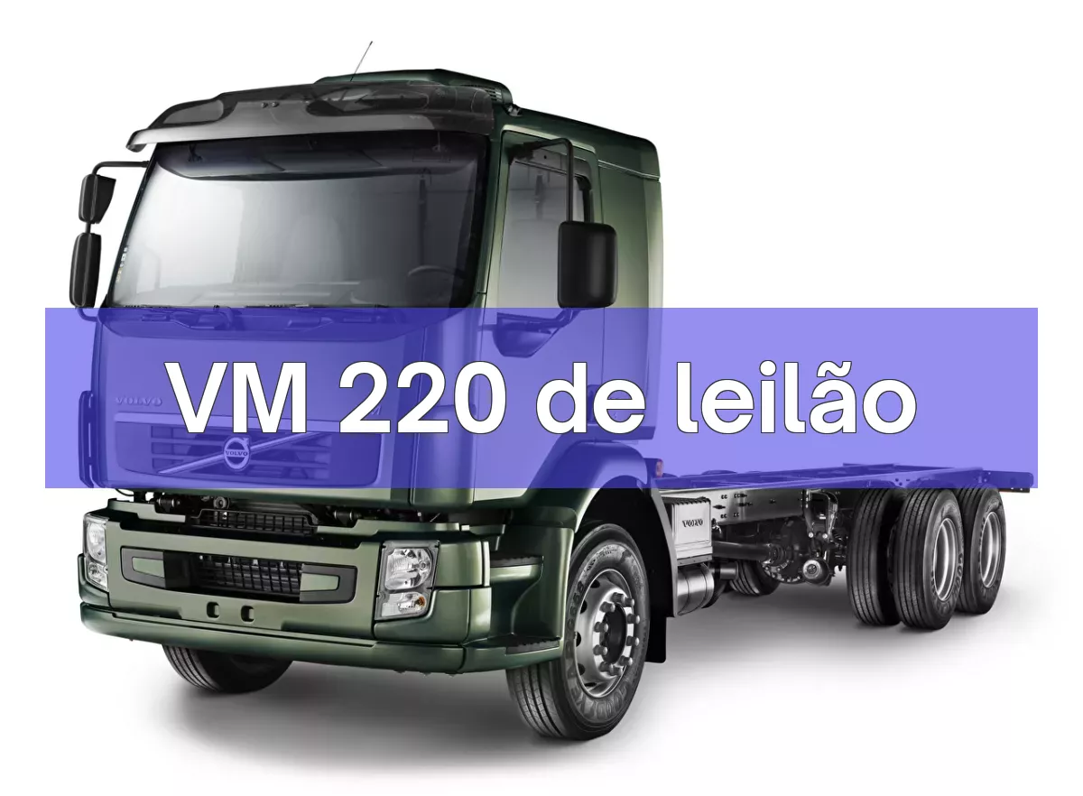 VM 220 em leilão