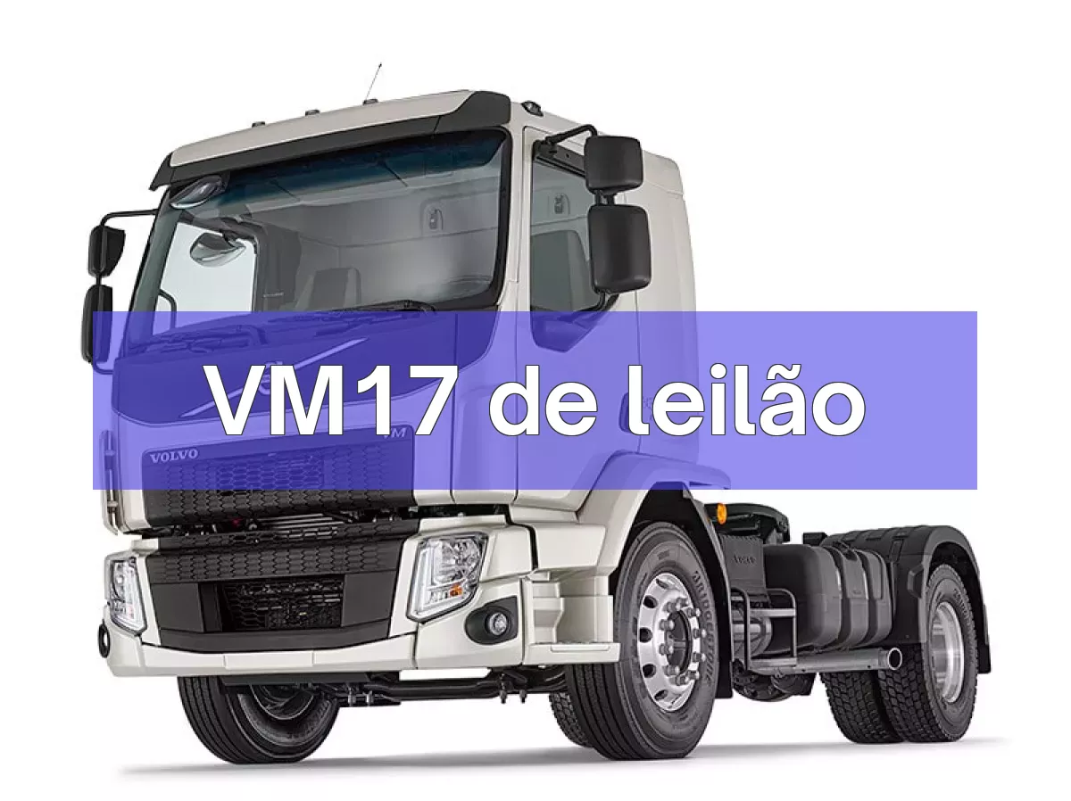 VM17 em leilão
