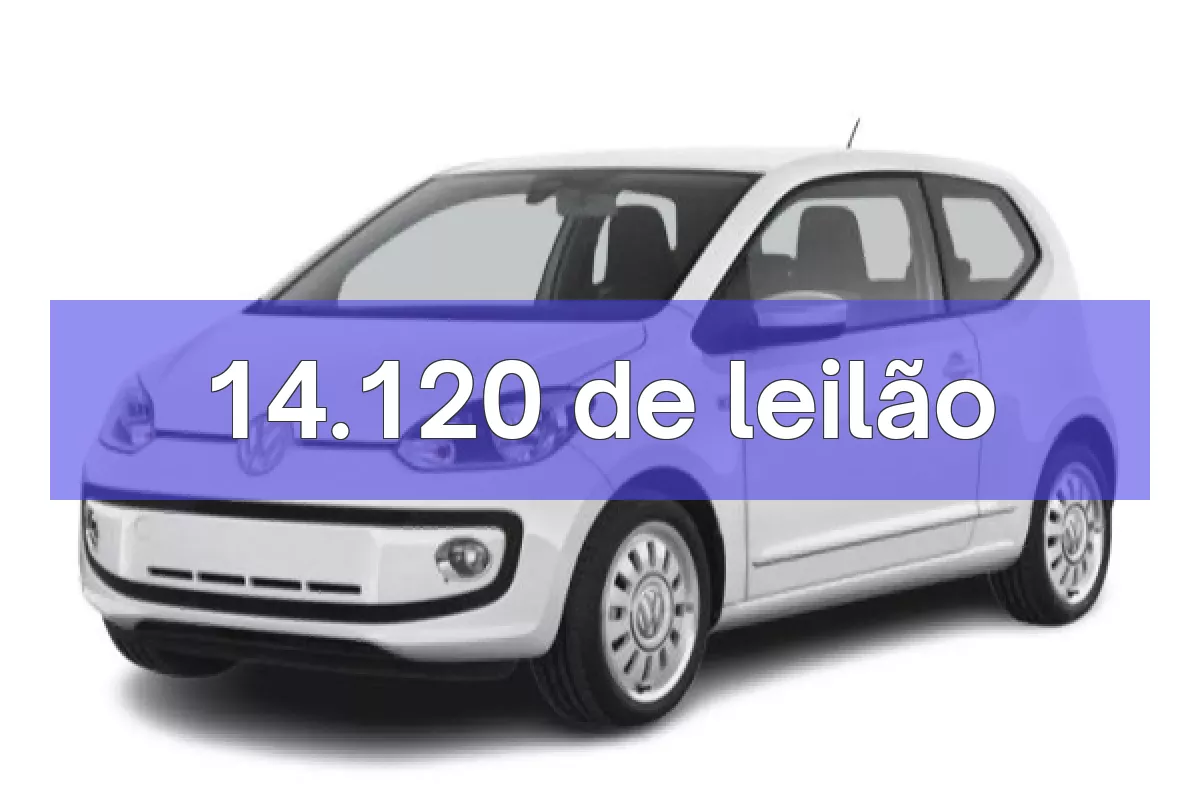14.120 em leilão