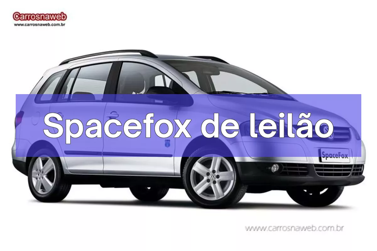 Spacefox em leilão