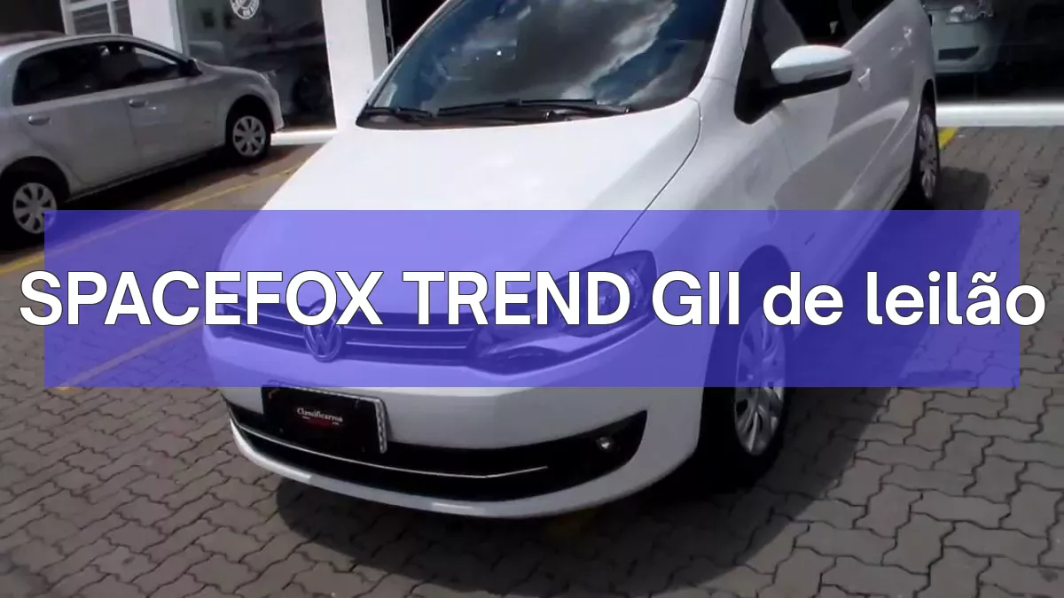 SPACEFOX TREND GII em leilão