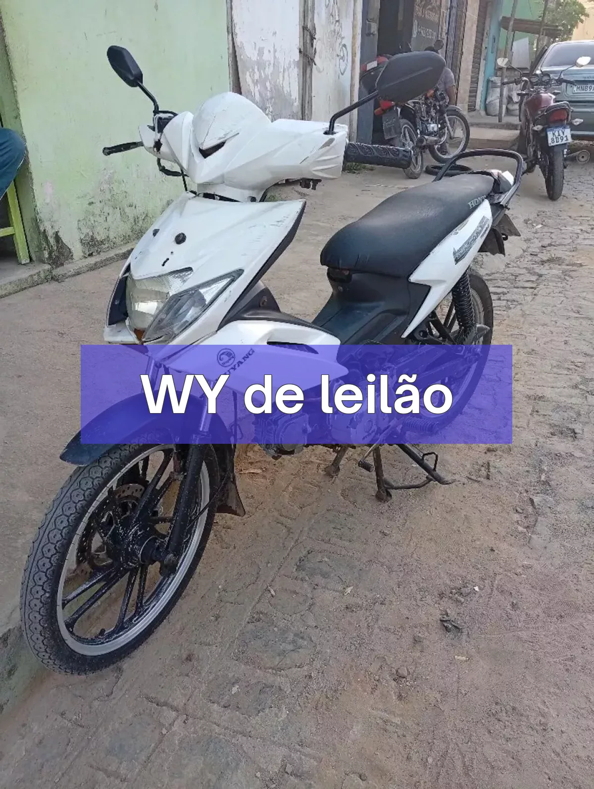 WY em leilão