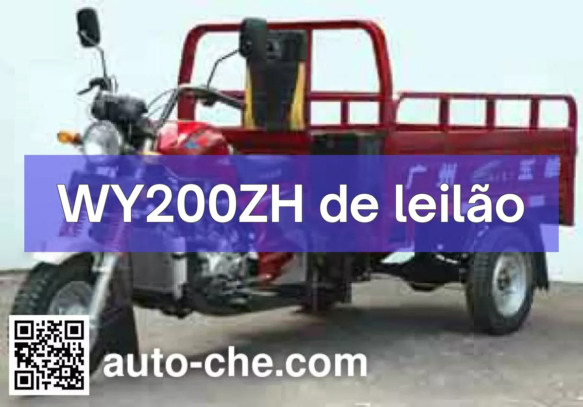 WY200ZH em leilão